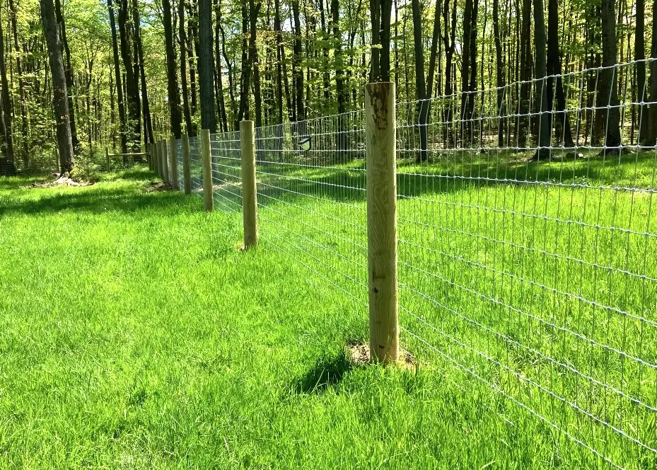inside view of no climb woven wire fence on round wood posts
