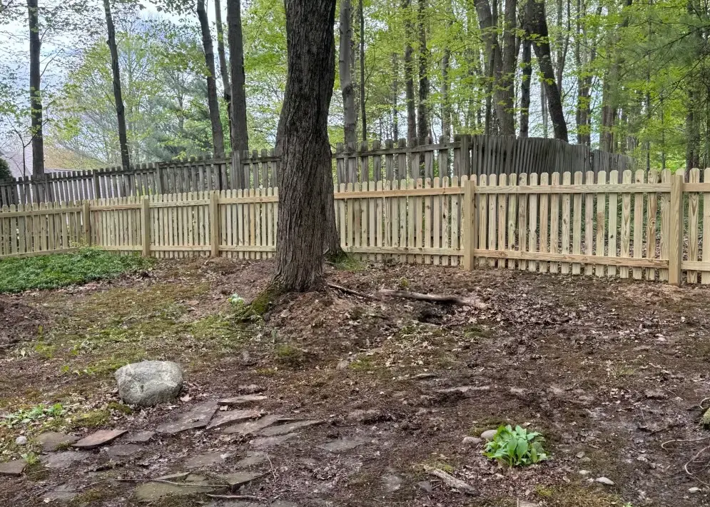 backyard wood picket fence in woods